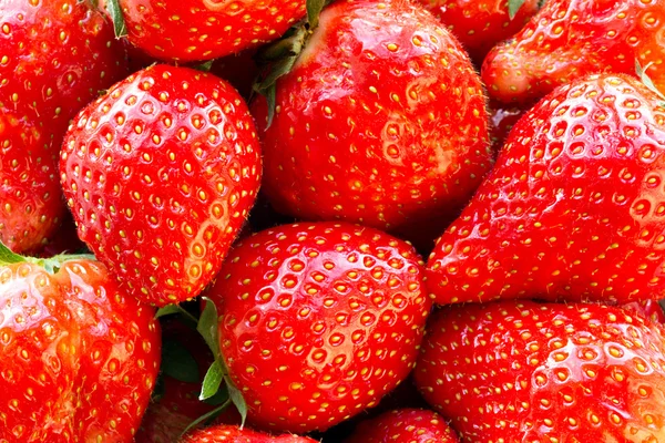 美丽的红草莓 — 图库照片