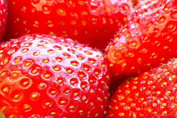 美しい赤いイチゴ — ストック写真