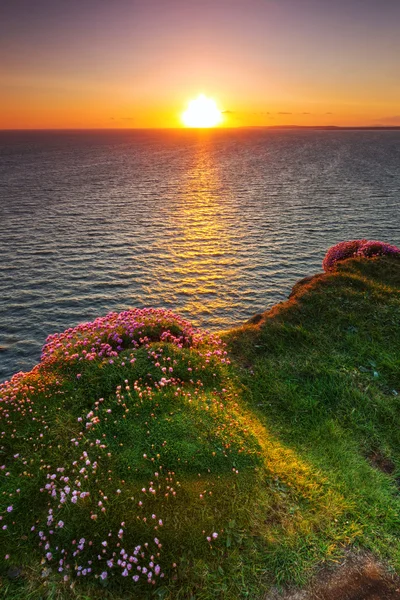 Klify Moher na zachodzie słońca — Zdjęcie stockowe