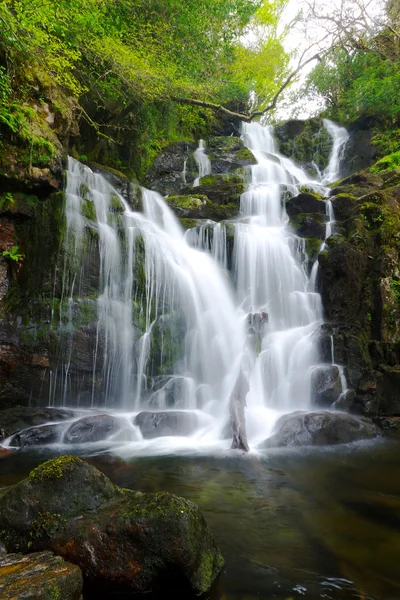 Cascata Torc nel Parco Nazionale di Killarney — Foto Stock
