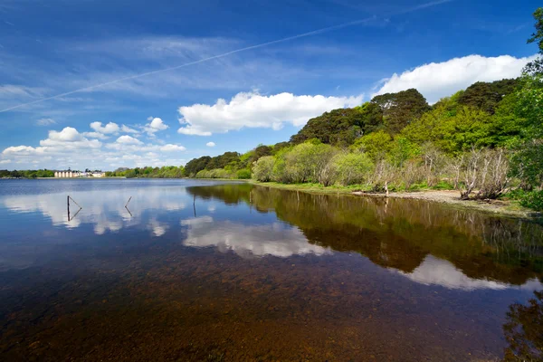 Paesaggio idilliaco del lago Killarney — Foto Stock