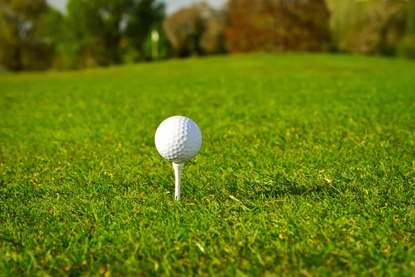 Balle de golf sur l'herbe — Photo