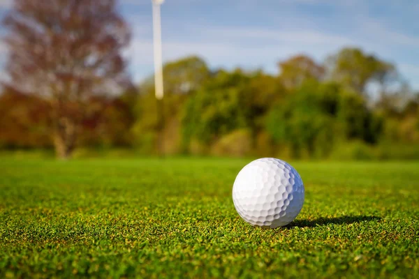 Pelota de golf en la hierba —  Fotos de Stock