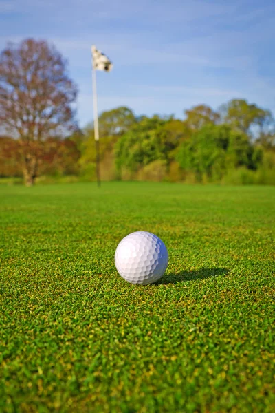 Balle de golf sur l'herbe — Photo