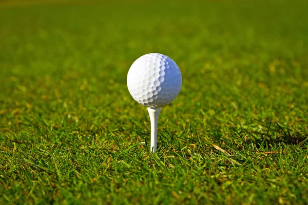 Golfball auf dem Rasen — Stockfoto