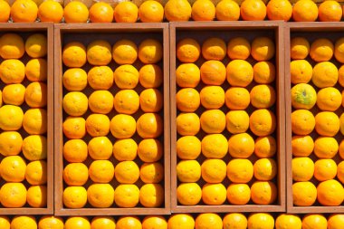 Fresh oranges in the box clipart