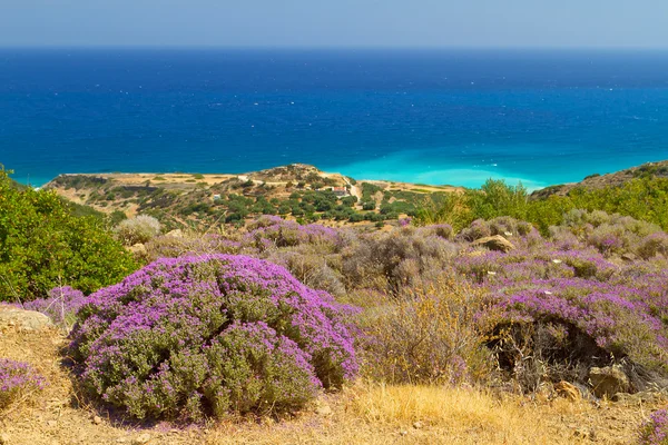 Pozice s modrou lagunu na Krétě — Stock fotografie