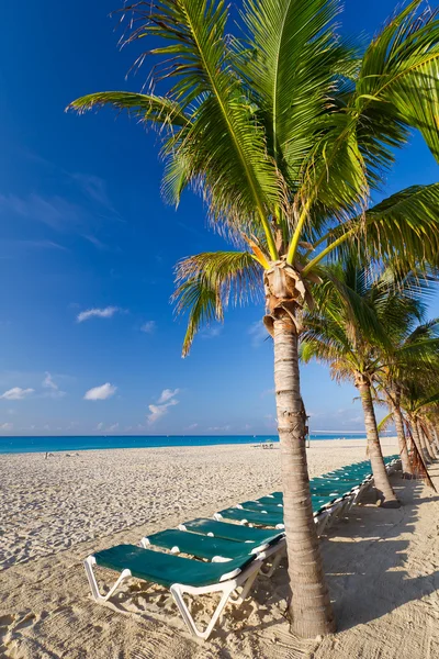 Paysage de la plage des Caraïbes — Photo
