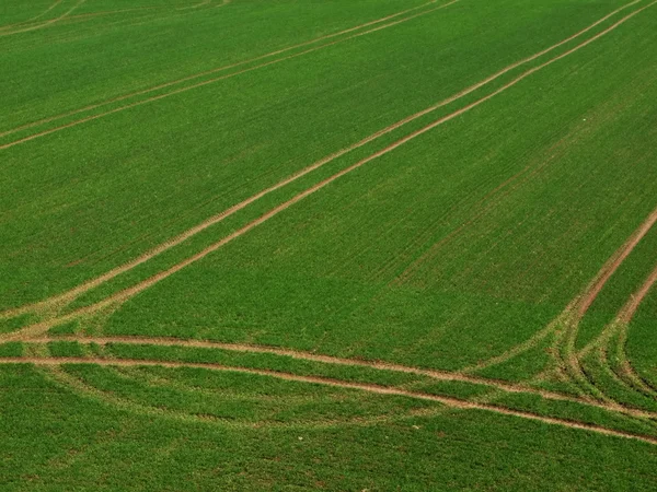 stock image Traces on the field