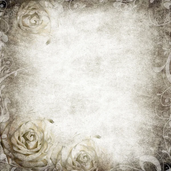 グランジ美しいバラ背景 (1 セットの) — ストック写真