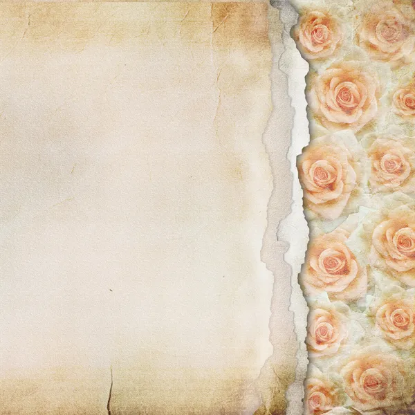 Vecchio sfondo di carta strappata. Texture con rose — Foto Stock