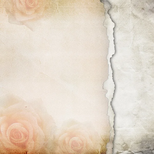 Vecchio sfondo di carta strappata. Texture con rose — Foto Stock
