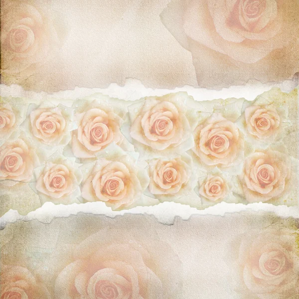 Stary tło rozdarty papier. tekstury z różami — Zdjęcie stockowe