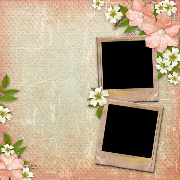 Vintage background with frames, lace and flower composition — Stock Photo, Image