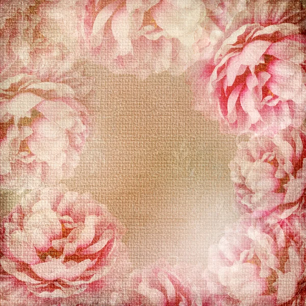 Grunge belas rosas fundo (1 do conjunto ) — Fotografia de Stock