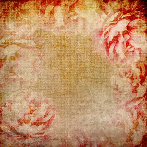 Grunge mooie rozen achtergrond (1 van set) — Stockfoto