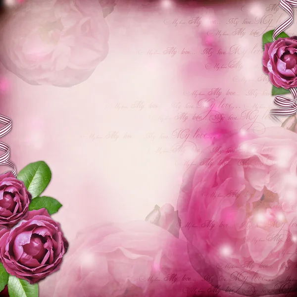 Página do álbum - fundo romântico com rosa, fita — Fotografia de Stock