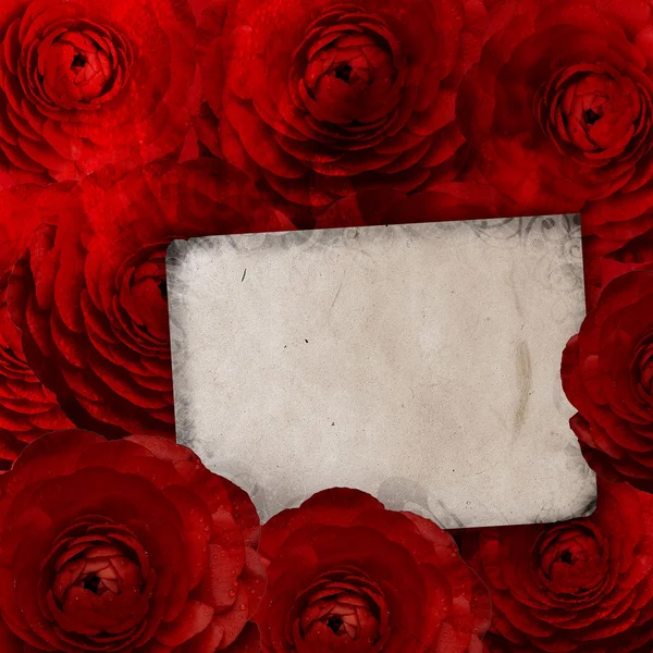 Cartão de aniversário ou Dia das Mães com rosas e espaço em branco — Fotografia de Stock