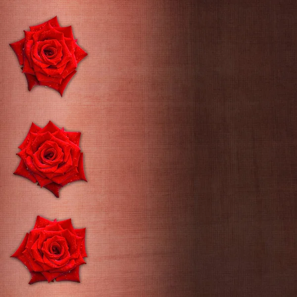 お祝いの赤いバラの招待状カード — ストック写真