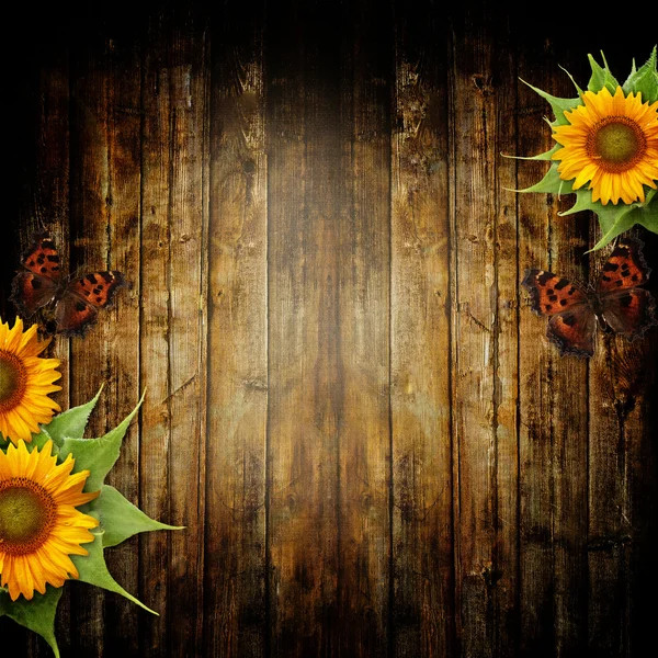 Wooden background with sunflowers and butterfly — Stock Photo, Image