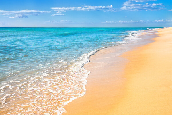 Sand beach water background