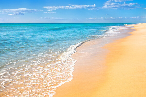 Sand beach water background Stock Image