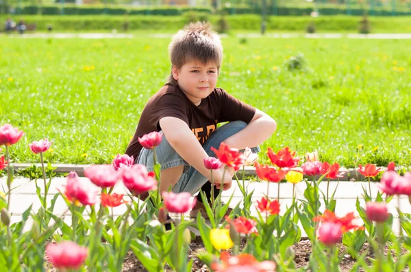Der Junge sitzt neben dem Blumenbeet mit Tulpen — Stockfoto
