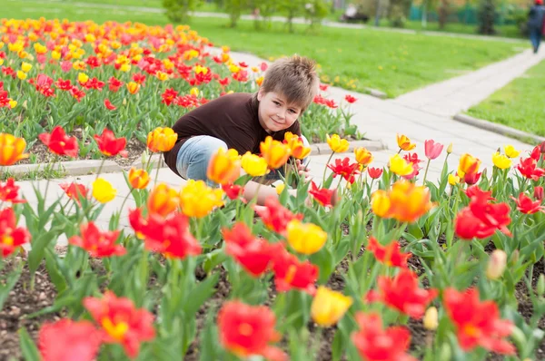 Der Junge sitzt neben dem Blumenbeet mit Tulpen — Stockfoto