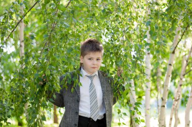 Huş ağacı orman çocuğu