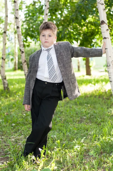 Chlapec v březový les — Stock fotografie