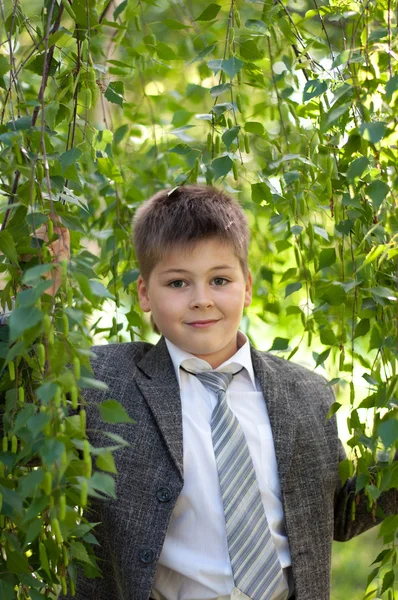 Pojken i skogen Björk — Stockfoto