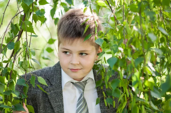 Мальчик в березовом лесу — стоковое фото