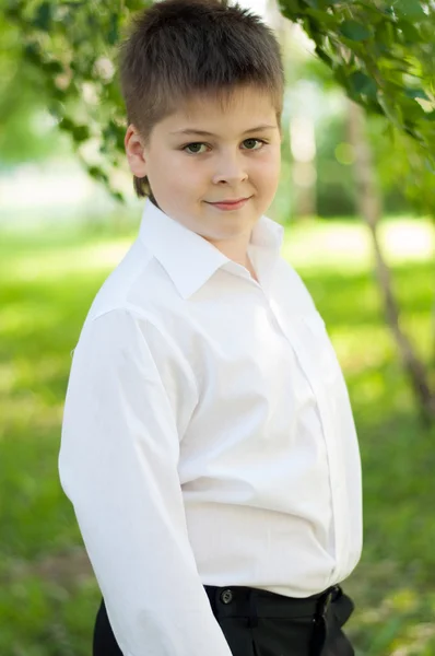 The Boy in the birch forest — Stock Photo, Image