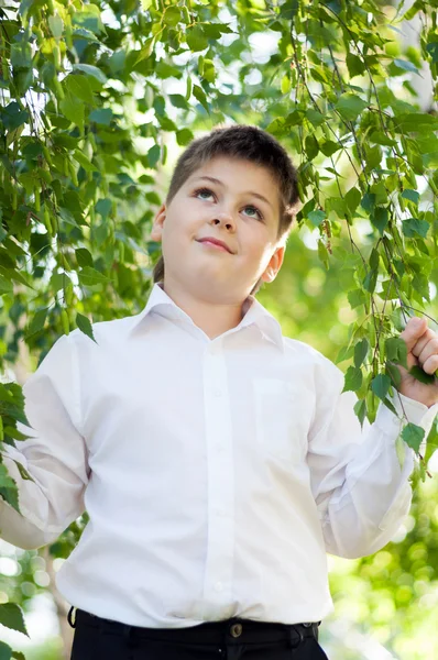 Το αγόρι στο δάσος σημύδας — Φωτογραφία Αρχείου