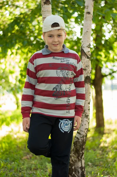 A fiú a nyír-erdő — Stock Fotó