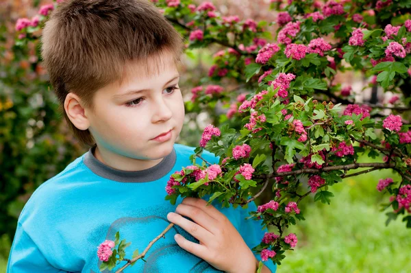 Un niño cerca del árbol floreciente — Foto de Stock