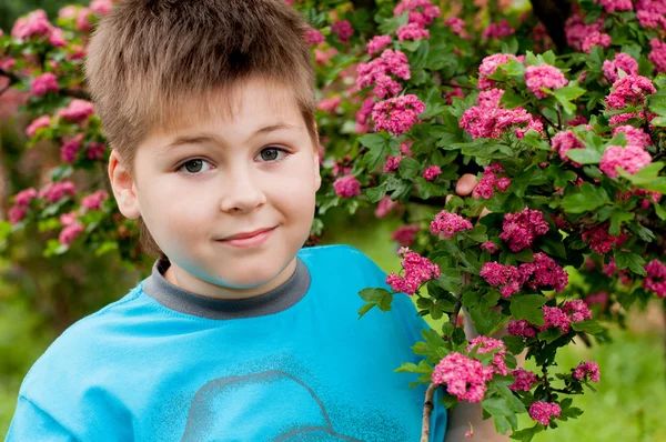 Ein Junge neben dem blühenden Baum — Stockfoto
