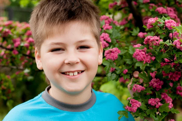 Un ragazzo vicino ad un albero fiorito — Foto Stock