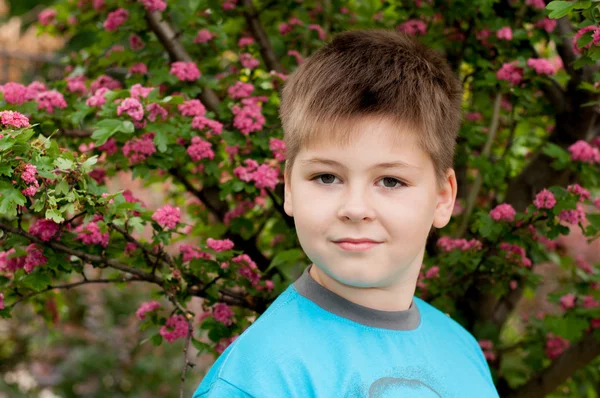 Мальчик возле цветущего дерева — стоковое фото