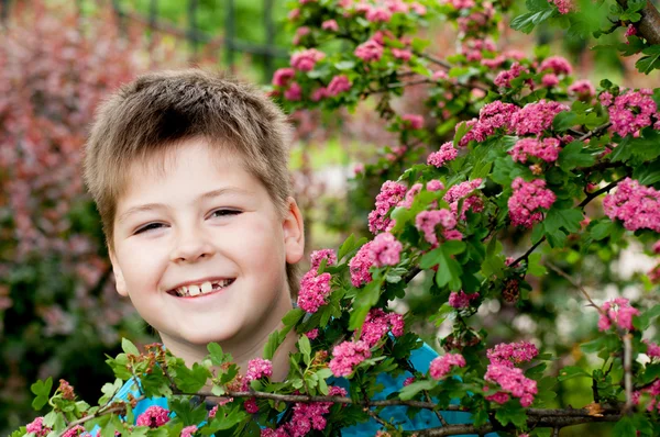 En pojke nära i ett blommande träd — Stockfoto