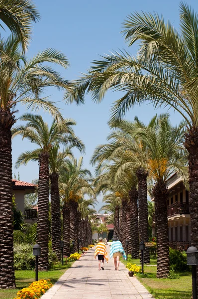 Palm trópusi Hotel Alley — Stock Fotó