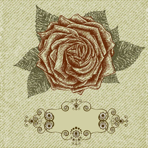 Vintage Rose Hintergrund. Vektor im Retro-Stil — Stockvektor