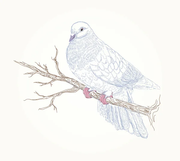 Bel oiseau vecteur sur la branche fleurie — Image vectorielle