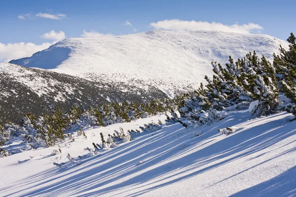 Zimní hory krajina. Bulharsko, Borovec — Stock fotografie