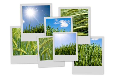 Countryside theme photo collection clipart