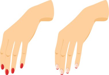 Manikürlü kadın elleri