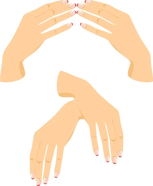 Mani femminili isolate sul bianco — Vettoriale Stock