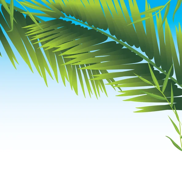 Gałęzie palmy — Wektor stockowy