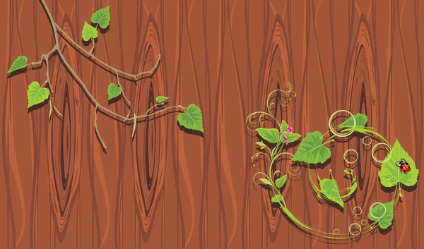 Rami di betulla sullo sfondo di legno — Vettoriale Stock