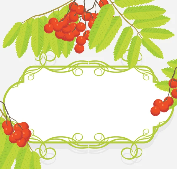 Cadre décoratif avec branches de rowan — Image vectorielle